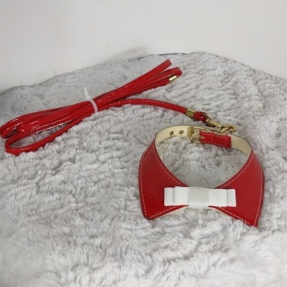 Red Collar & Leash 12 - Picture 1 of 4